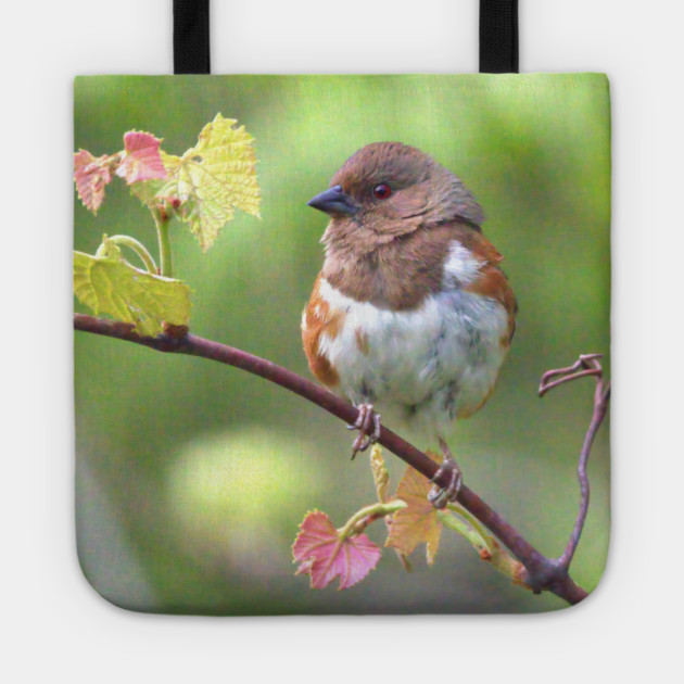 Eastern Towhee Tote by BirdsnStuff