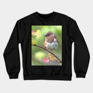 Eastern Towhee Crewneck Sweatshirt