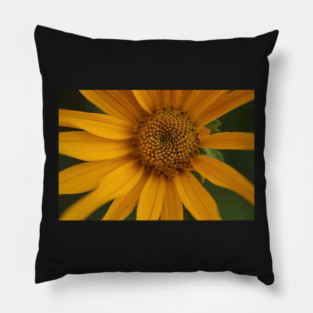 Sunflower Pillow