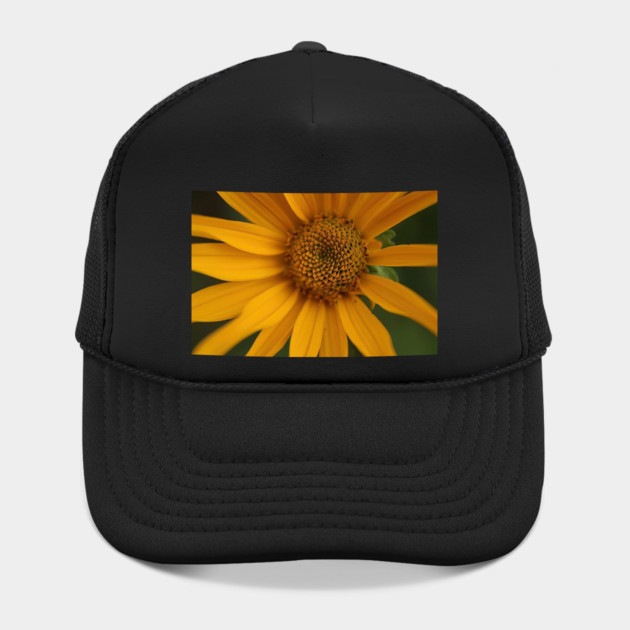 Sunflower by BirdsnStuff