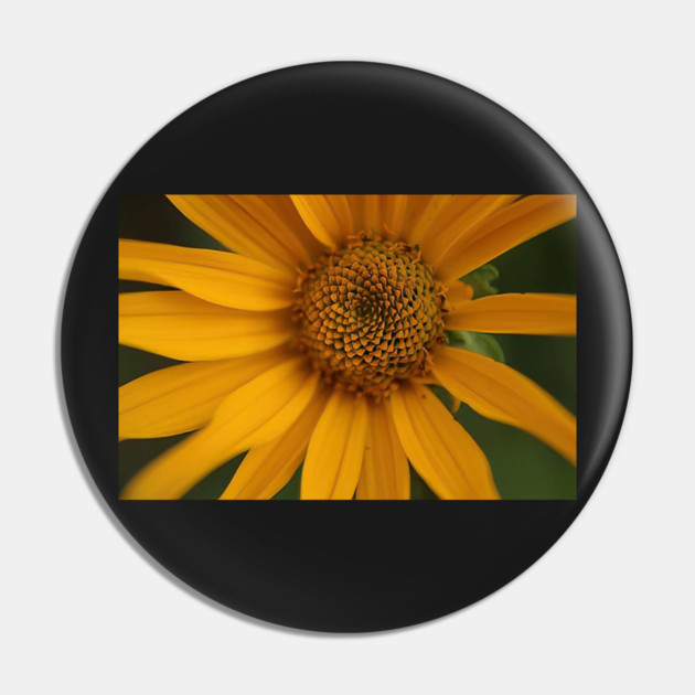 Sunflower Pin by BirdsnStuff