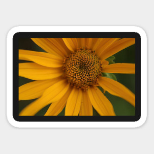 Sunflower Magnet