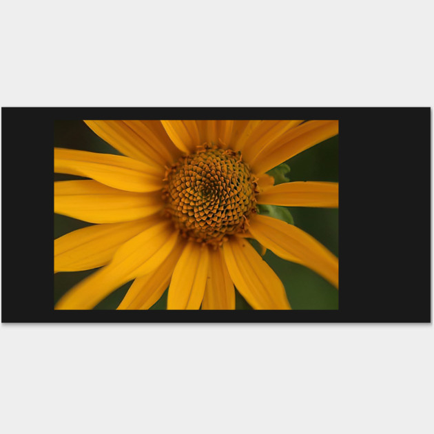 Sunflower Wall Art by BirdsnStuff