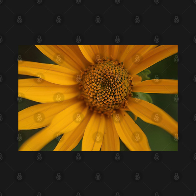 Sunflower by BirdsnStuff