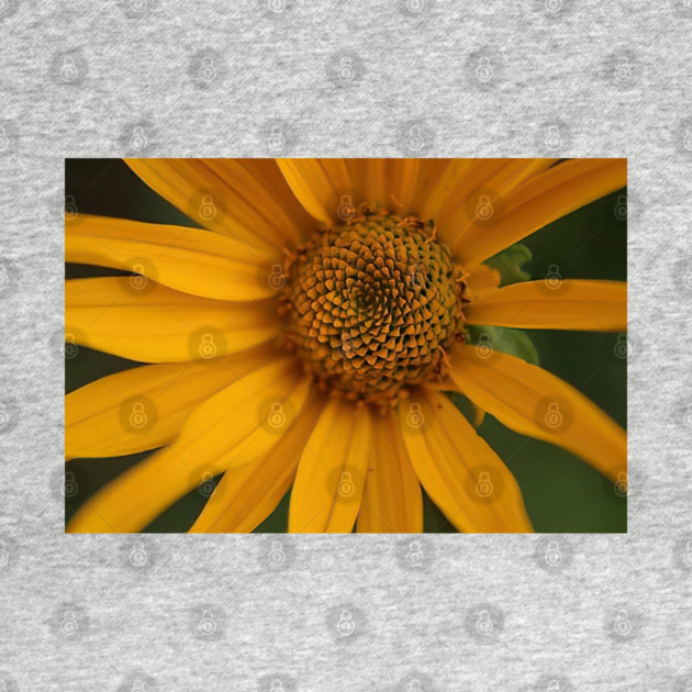 Sunflower by BirdsnStuff