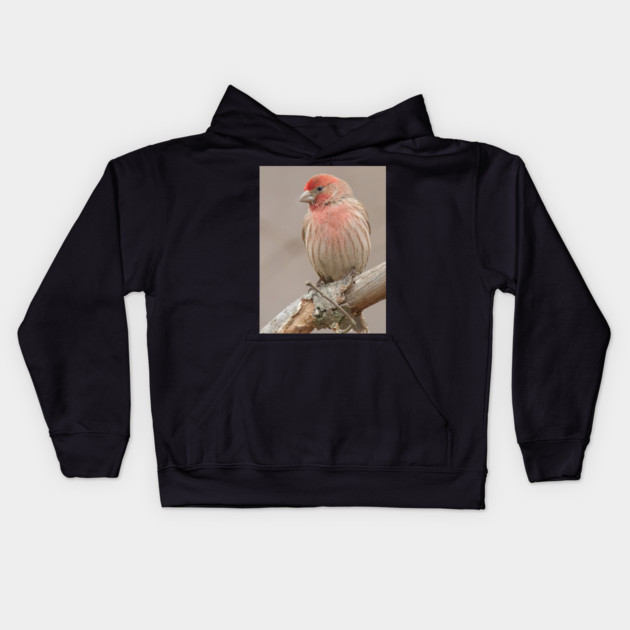 Beautiful House Finch in winter time Kids Hoodie by BirdsnStuff