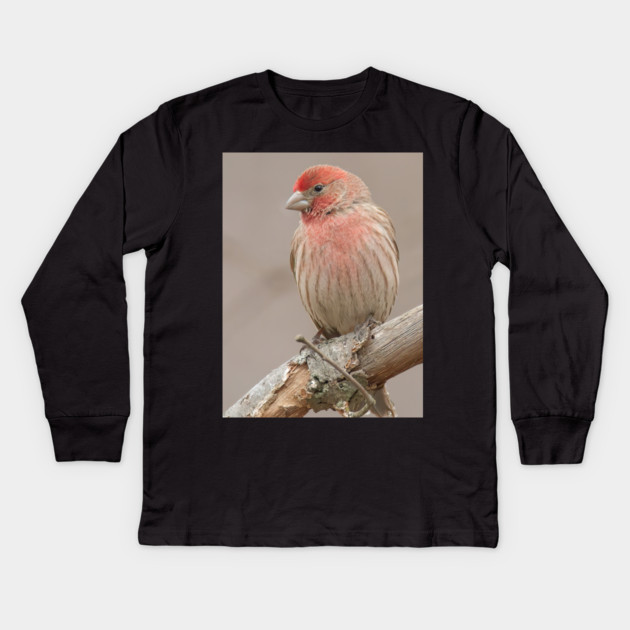 Beautiful House Finch in winter time Kids Long Sleeve T-Shirt by BirdsnStuff