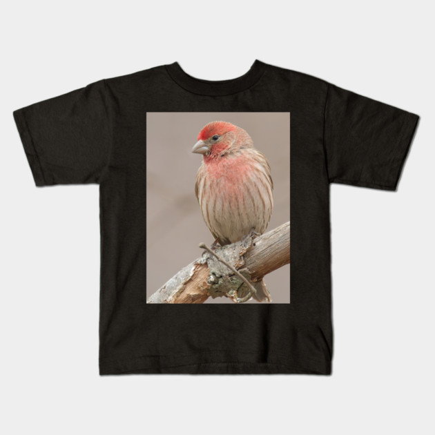 Beautiful House Finch in winter time Kids T-Shirt by BirdsnStuff