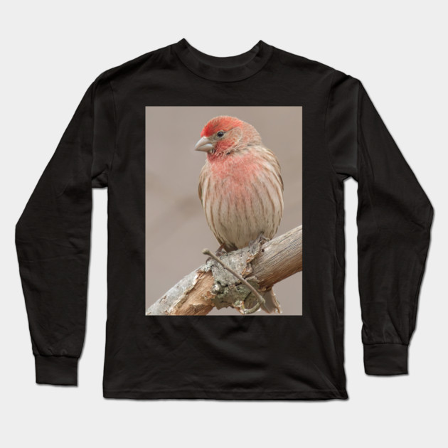 Beautiful House Finch in winter time Long Sleeve T-Shirt by BirdsnStuff