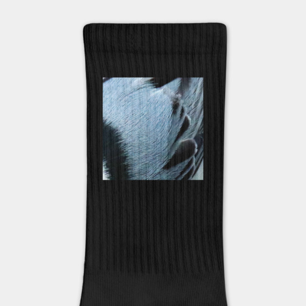 Feathers of a White Breasted Nuthatch by BirdsnStuff