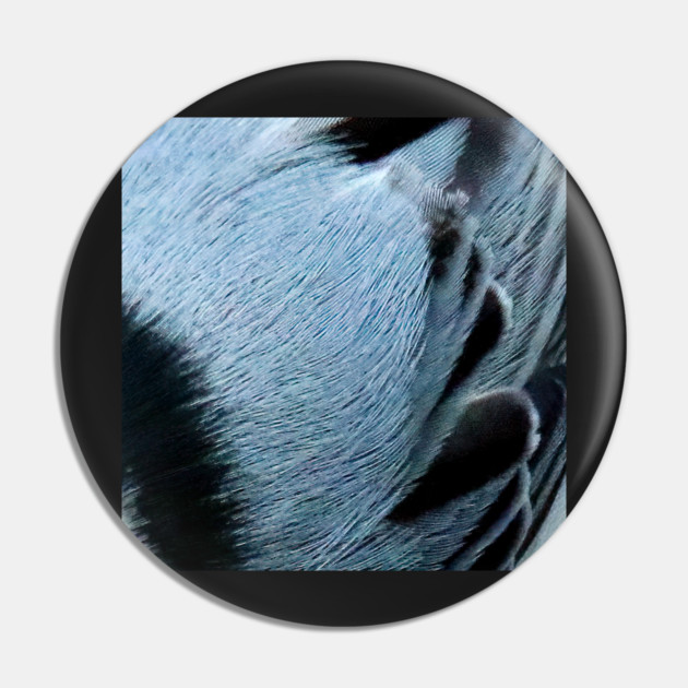 Feathers of a White Breasted Nuthatch Pin by BirdsnStuff