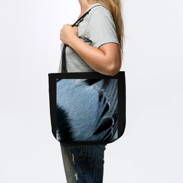 Feathers of a White Breasted Nuthatch by BirdsnStuff