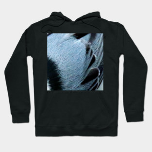 Feathers of a White Breasted Nuthatch Hoodie