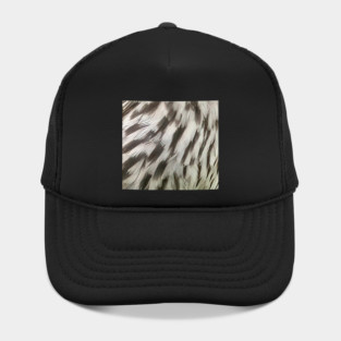 Feathers of a female Red Winged Blackbird Hat