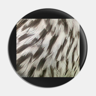 Feathers of a female Red Winged Blackbird Pin