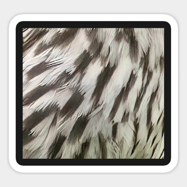 Feathers of a female Red Winged Blackbird Magnet by BirdsnStuff