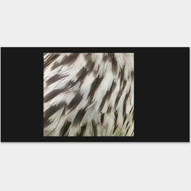 Feathers of a female Red Winged Blackbird Wall Art by BirdsnStuff