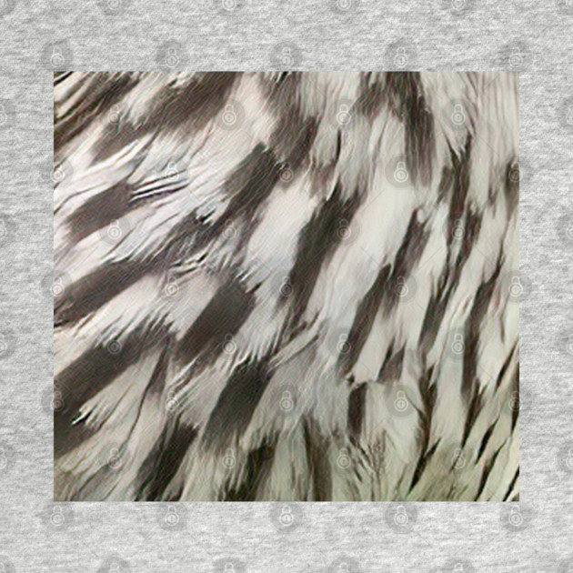 Feathers of a female Red Winged Blackbird by BirdsnStuff