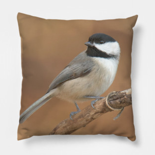 Carolina Chickadee Pillow