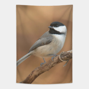 Carolina Chickadee Tapestry