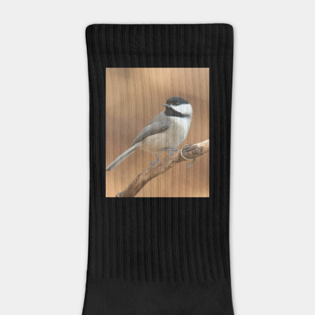 Carolina Chickadee by BirdsnStuff