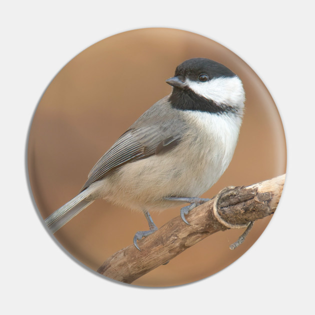 Carolina Chickadee Pin by BirdsnStuff
