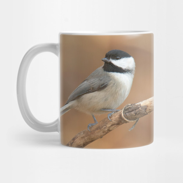 Carolina Chickadee by BirdsnStuff