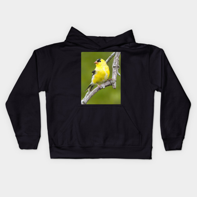 American Goldfinch2 Kids Hoodie by BirdsnStuff