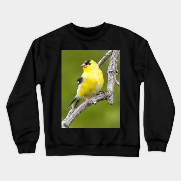 American Goldfinch2 Crewneck Sweatshirt by BirdsnStuff
