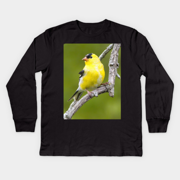 American Goldfinch2 Kids Long Sleeve T-Shirt by BirdsnStuff