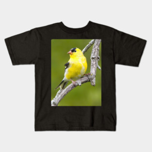 American Goldfinch2 Kids T-Shirt