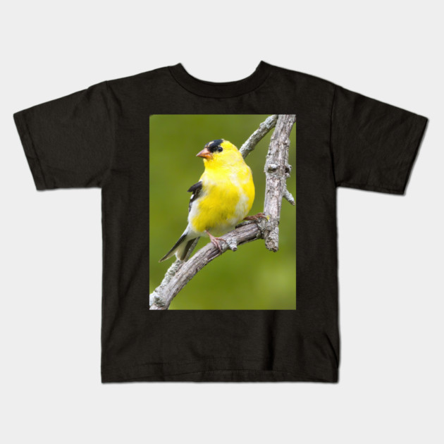 American Goldfinch2 Kids T-Shirt by BirdsnStuff