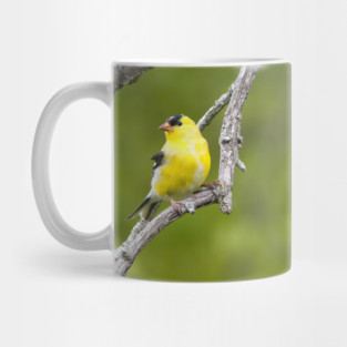 American Goldfinch2 Mug