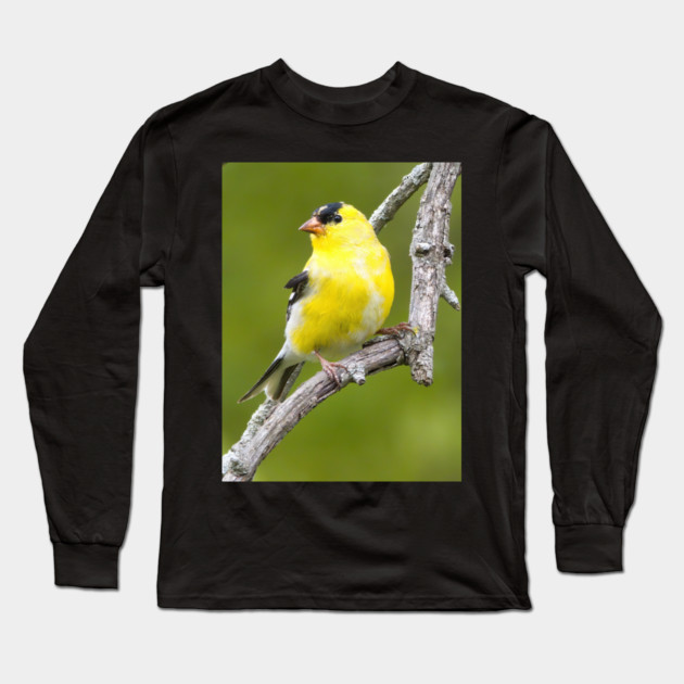 American Goldfinch2 Long Sleeve T-Shirt by BirdsnStuff