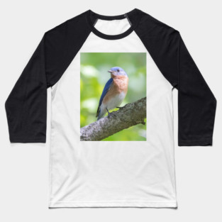 Eastern Bluebird on a nice summer day Baseball T-Shirt