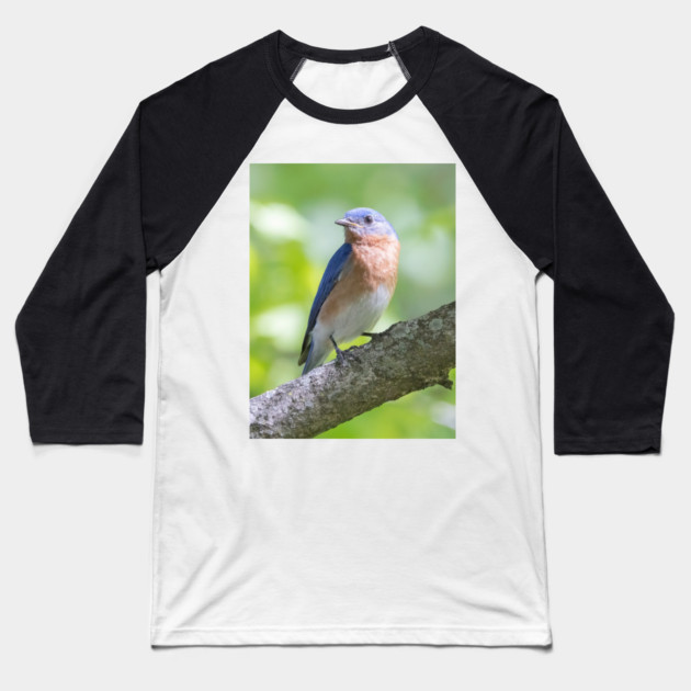 Eastern Bluebird on a nice summer day Baseball T-Shirt by BirdsnStuff