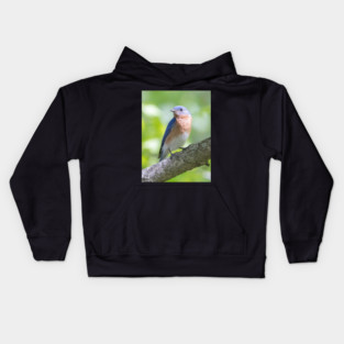 Eastern Bluebird on a nice summer day Kids Hoodie