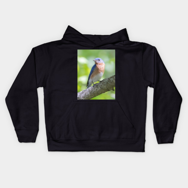 Eastern Bluebird on a nice summer day Kids Hoodie by BirdsnStuff