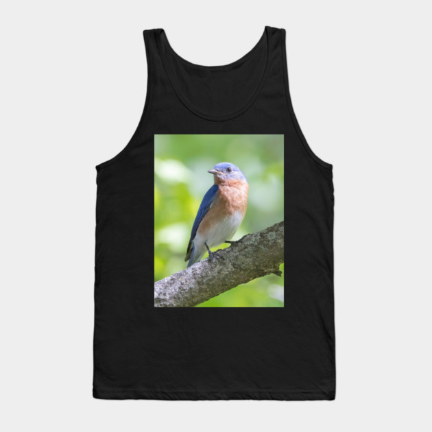Eastern Bluebird on a nice summer day Tank Top by BirdsnStuff
