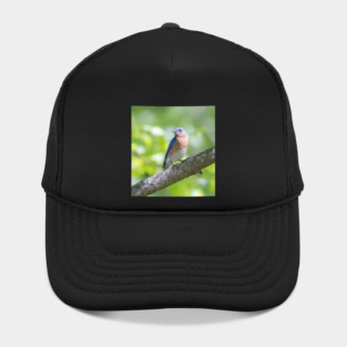 Eastern Bluebird on a nice summer day Hat