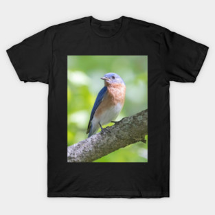 Eastern Bluebird on a nice summer day T-Shirt
