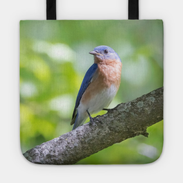 Eastern Bluebird on a nice summer day Tote by BirdsnStuff