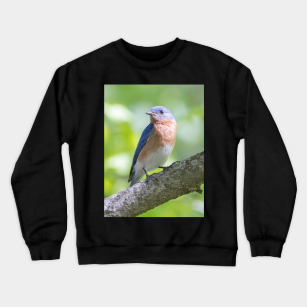 Eastern Bluebird on a nice summer day Crewneck Sweatshirt by BirdsnStuff