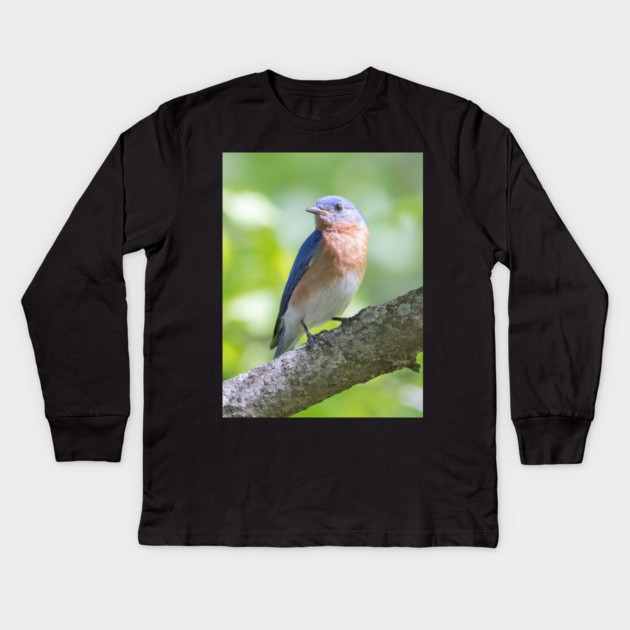 Eastern Bluebird on a nice summer day Kids Long Sleeve T-Shirt by BirdsnStuff