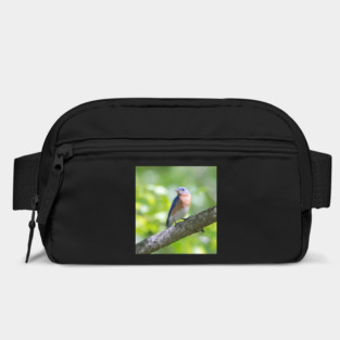 Eastern Bluebird on a nice summer day Bag