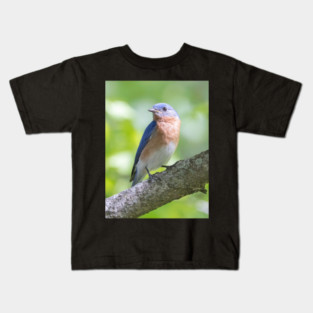 Eastern Bluebird on a nice summer day Kids T-Shirt