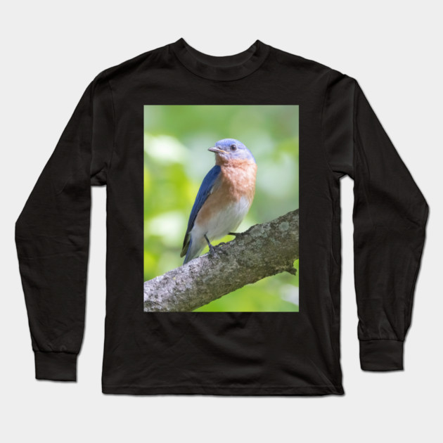 Eastern Bluebird on a nice summer day Long Sleeve T-Shirt by BirdsnStuff