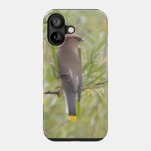 Cedar Waxwing in a tree Phone Case