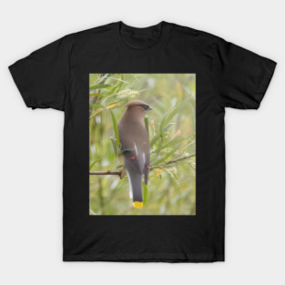 Cedar Waxwing in a tree T-Shirt