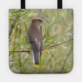 Cedar Waxwing in a tree Tote